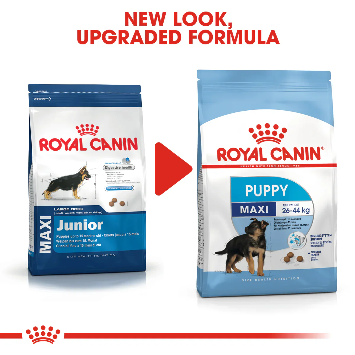 Royal Canin Maxi Puppy (4KG/16kg) - Dry food for large dogs - Adult weight from 26 to 44 KG. From 2 to 15 months - Image 7