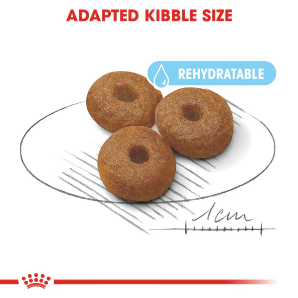 Royal Canin Maxi Starter Dry Mother & Baby dog(4KG/15KG) - Image 2