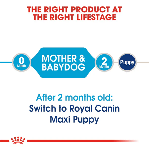 Royal Canin Maxi Starter Dry Mother & Baby dog(4KG/15KG) - Image 3