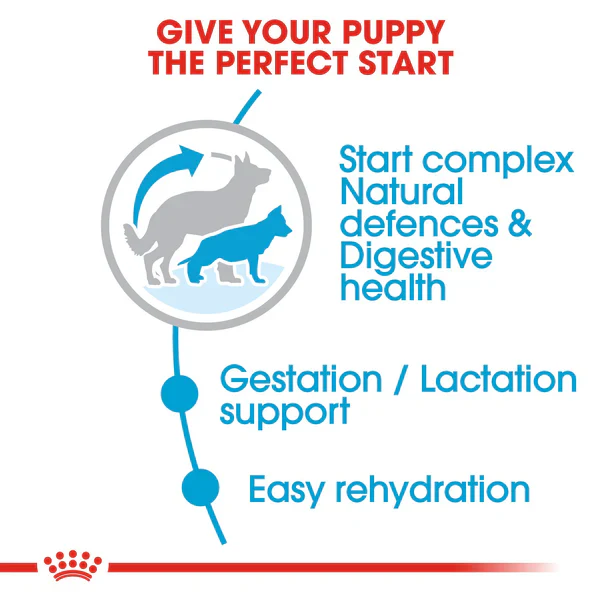 Royal Canin Maxi Starter Dry Mother & Baby dog(4KG/15KG) - Image 6