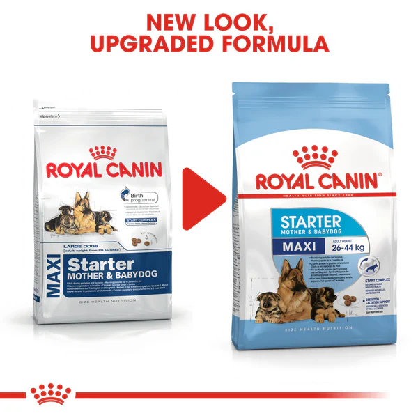 Royal Canin Maxi Starter Dry Mother & Baby dog(4KG/15KG) - Image 7