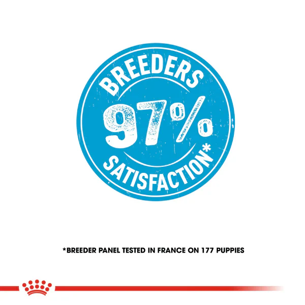 Royal Canin Maxi Starter Dry Mother & Baby dog(4KG/15KG) - Image 9