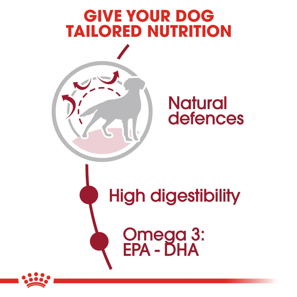 Royal Canin Medium Adult (4 kg-15 kg ) - Dry food for medium dogs from 11 to 25 KG. From 12 months to 7 years - Image 2