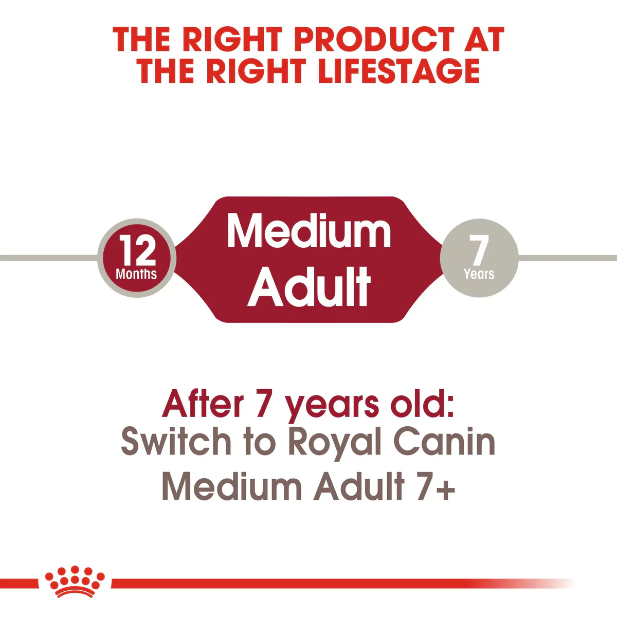 Royal Canin Medium Adult (4 kg-15 kg ) - Dry food for medium dogs from 11 to 25 KG. From 12 months to 7 years - Image 3