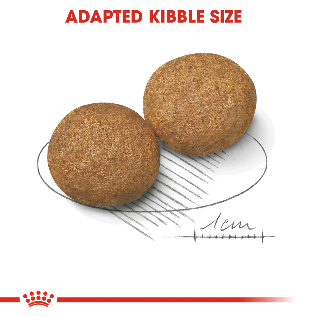 Royal Canin Medium Adult (4 kg-15 kg ) - Dry food for medium dogs from 11 to 25 KG. From 12 months to 7 years - Image 4