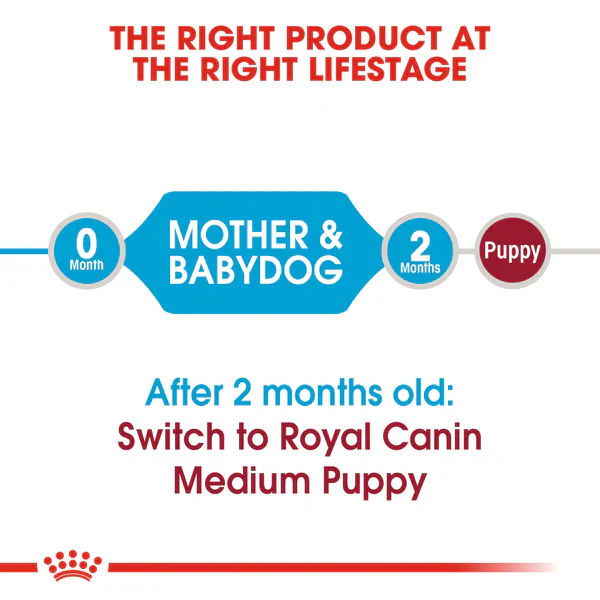 Royal Canin Medium Starter Mother and Baby dog (4kg) - for medium dogs - Adult weight between 11 and 25 KG. Mother during gestation and lactation - weaning puppies up to 2 months - Image 2