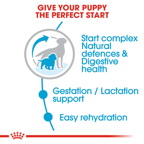 Royal Canin Medium Starter Mother and Baby dog (4kg) - for medium dogs - Adult weight between 11 and 25 KG. Mother during gestation and lactation - weaning puppies up to 2 months - Image 3