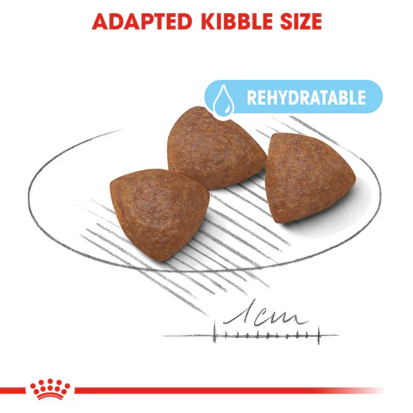 Royal Canin Medium Starter Mother and Baby dog (4kg) - for medium dogs - Adult weight between 11 and 25 KG. Mother during gestation and lactation - weaning puppies up to 2 months - Image 4