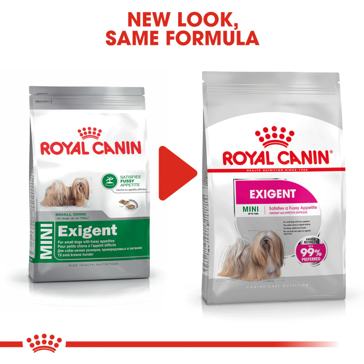Royal Canin Mini Exigent (3 KG) - Dry food for small dogs up to 10 KG with fussy appetite. Over 10 months - Image 3
