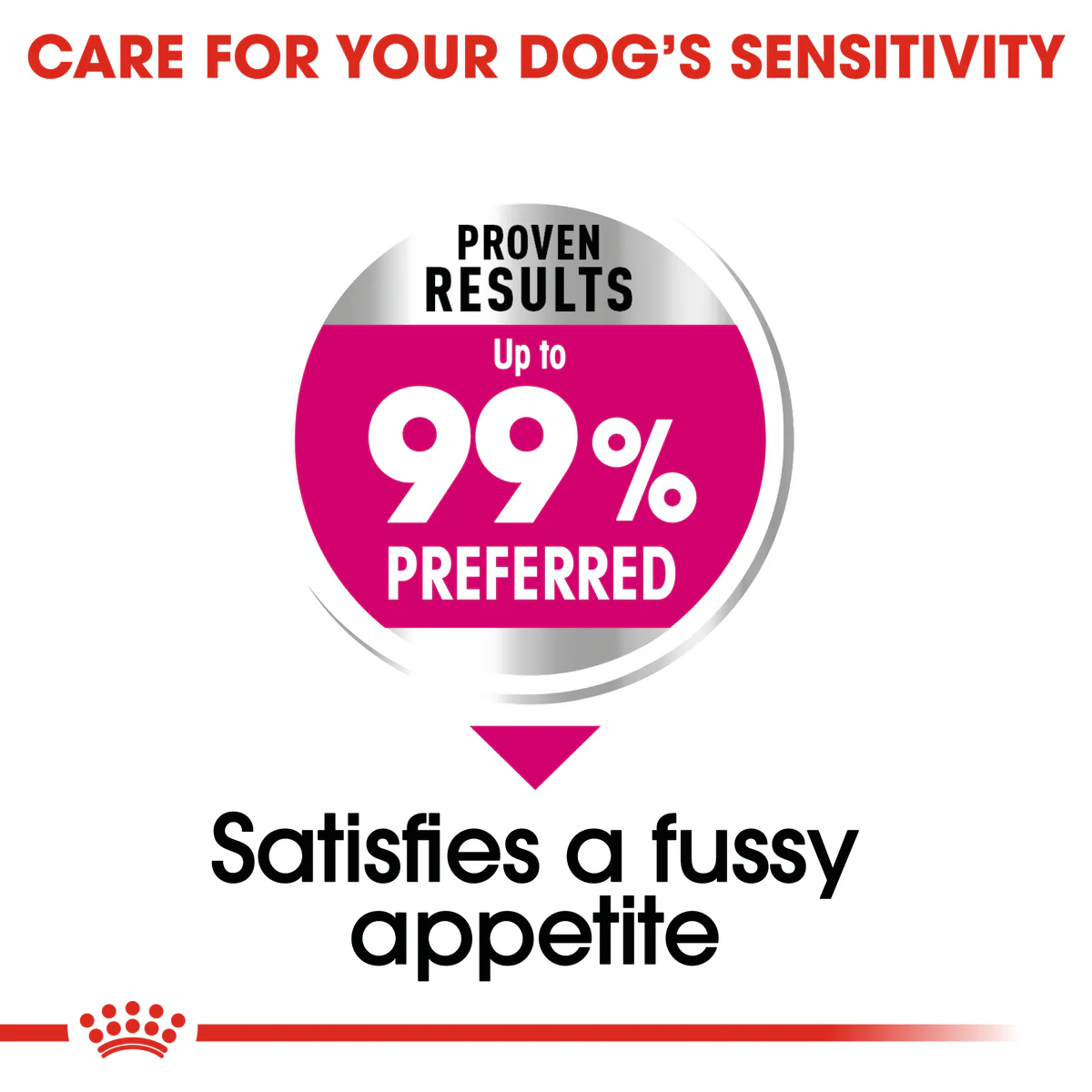 Royal Canin Mini Exigent (3 KG) - Dry food for small dogs up to 10 KG with fussy appetite. Over 10 months - Image 5