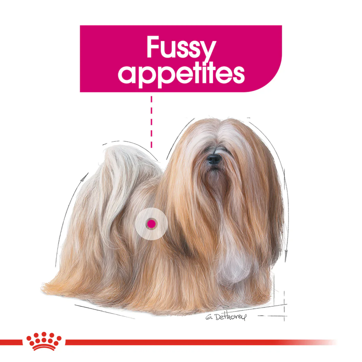 Royal Canin Mini Exigent (3 KG) - Dry food for small dogs up to 10 KG with fussy appetite. Over 10 months - Image 6