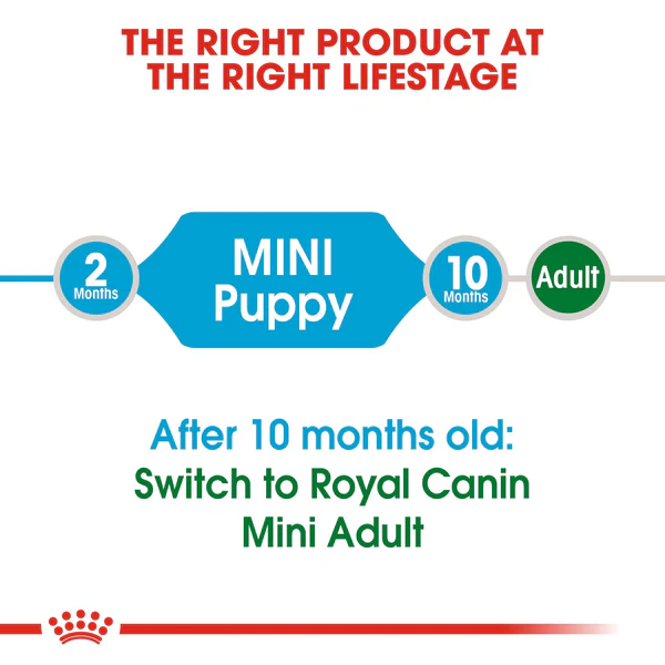Royal Canin Mini Puppy  - Dry food for small dogs - Adult weight up to 10 KG From 2 to 10 months old(2kg/4kg) - Image 3