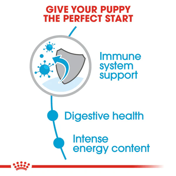 Royal Canin Mini Puppy  - Dry food for small dogs - Adult weight up to 10 KG From 2 to 10 months old(2kg/4kg) - Image 4