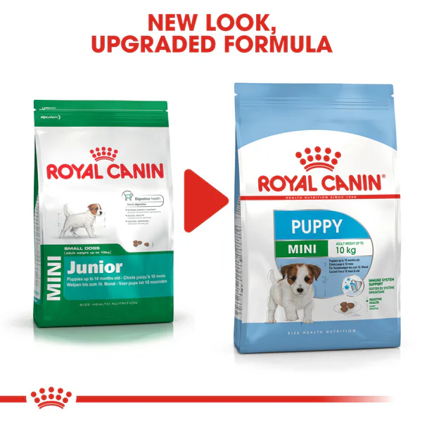 Royal Canin Mini Puppy  - Dry food for small dogs - Adult weight up to 10 KG From 2 to 10 months old(2kg/4kg) - Image 7