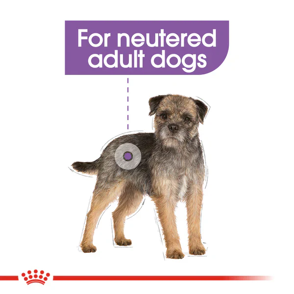 Royal Canin Mini Sterilised (3 KG) - Dry food for small dogs up to 10 KG. Over 10 months - Image 3