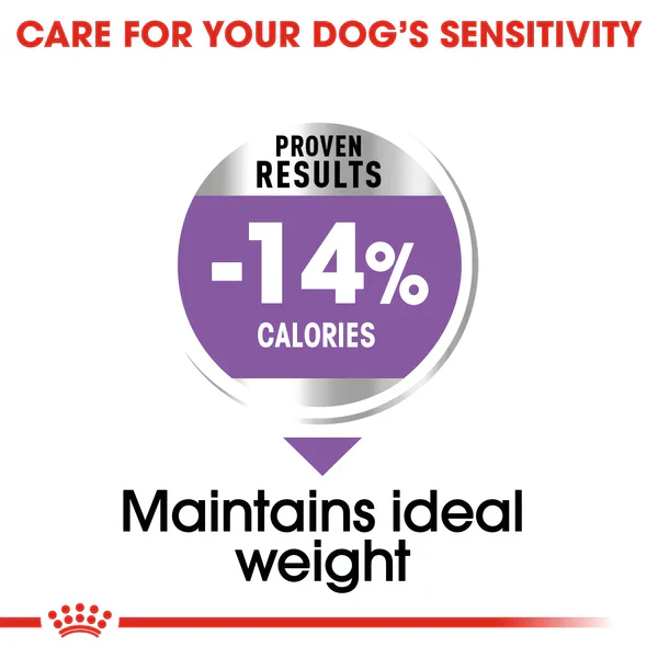 Royal Canin Mini Sterilised (3 KG) - Dry food for small dogs up to 10 KG. Over 10 months - Image 4