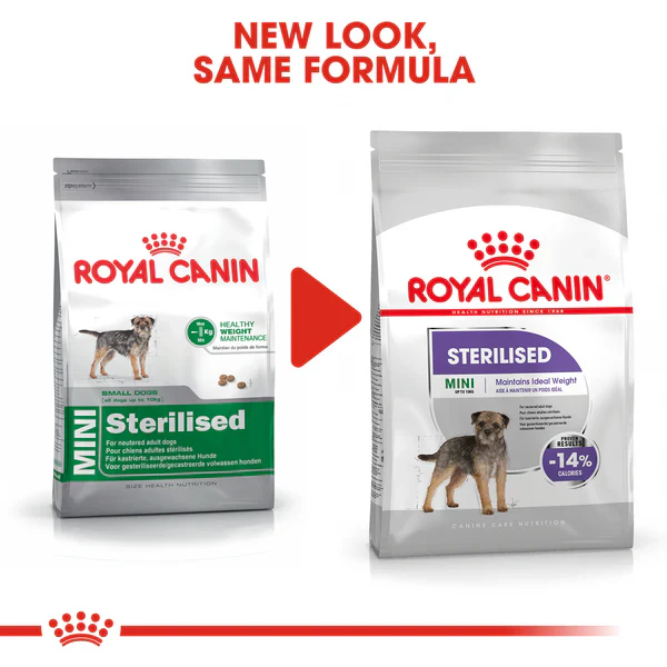 Royal Canin Mini Sterilised (3 KG) - Dry food for small dogs up to 10 KG. Over 10 months - Image 7