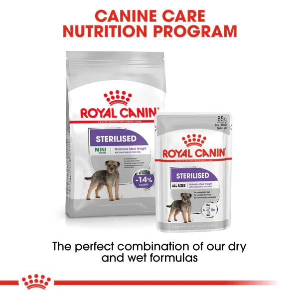 Royal Canin Mini Sterilised (3 KG) - Dry food for small dogs up to 10 KG. Over 10 months - Image 8