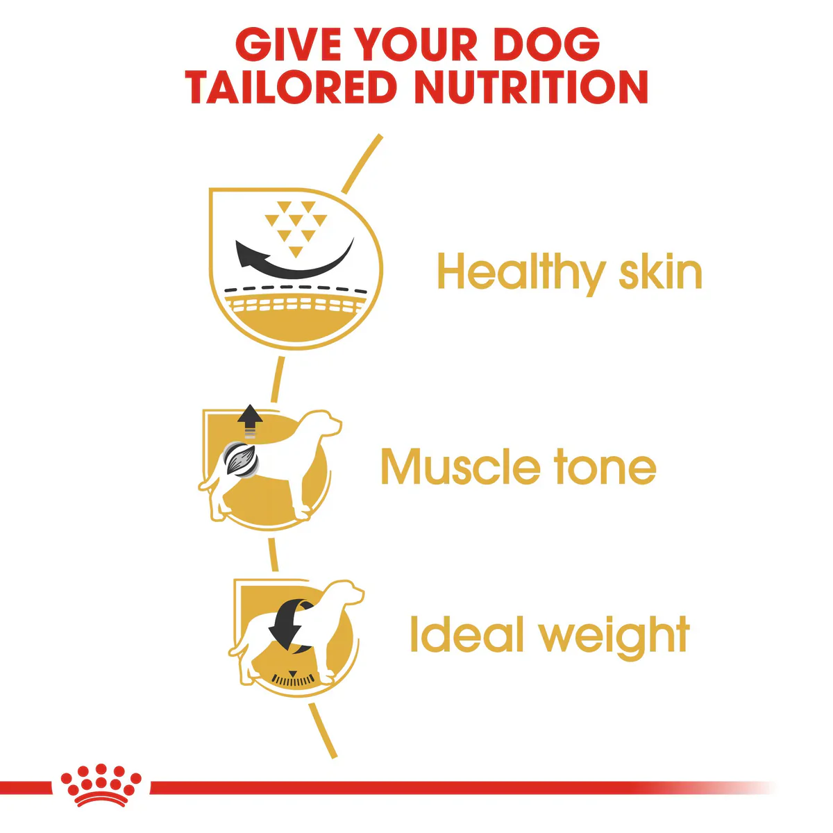 Royal Canin Pug Adult (1.5KG) - Dry food for adult dogs over 10 months old - Image 4