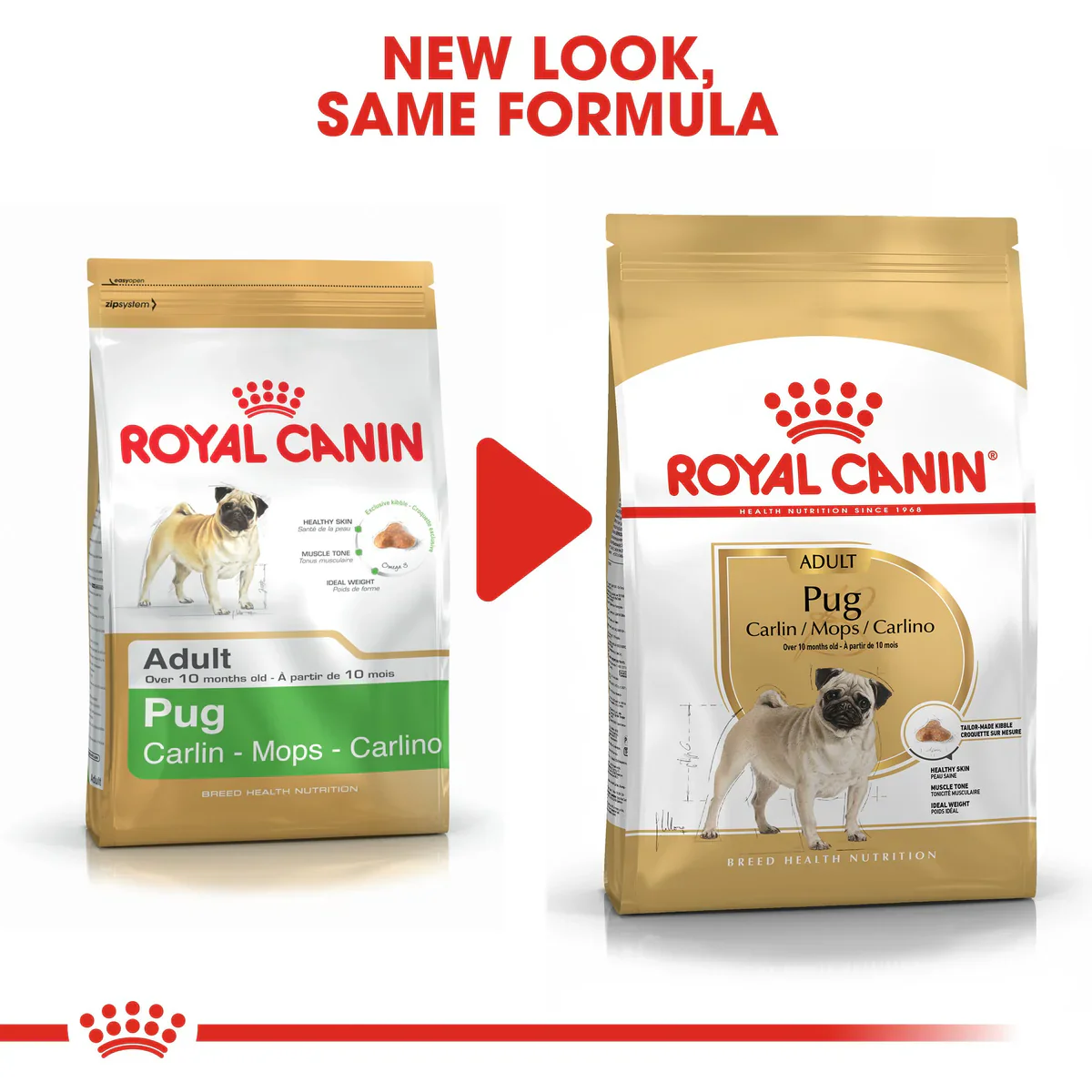 Royal Canin Pug Adult (1.5KG) - Dry food for adult dogs over 10 months old - Image 5