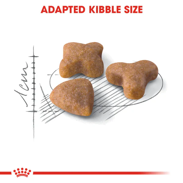 Royal Canin Sensible 33 _Dry Food For Sensitive Adult Cats ( 400gr/2KG) - Image 2