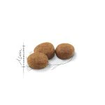 Royal Canin regular Sterilised 37 Dry Food for adult Cats (1-10 years)400g_2kg_10kg - Image 3