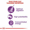 Royal Canin regular Sterilised 37 Dry Food for adult Cats (1-10 years)400g_2kg_10kg - Image 4