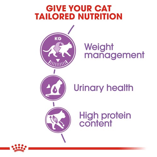 Royal Canin regular Sterilised 37 Dry Food for adult Cats (1-10 years)400g_2kg_10kg - Image 6