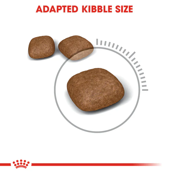 Royal Canin Urinary care - Dry food for adult cats - Helps maintain urinary tract health (400gt/2kg/4kg/10kg) - Image 2