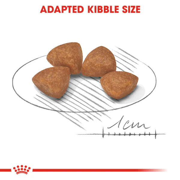 Royal Canin X-Small Puppy (1.5 KG) - Dry food for very small dogs - Adult weight up to 4 KG. Up to 10 months - Image 2