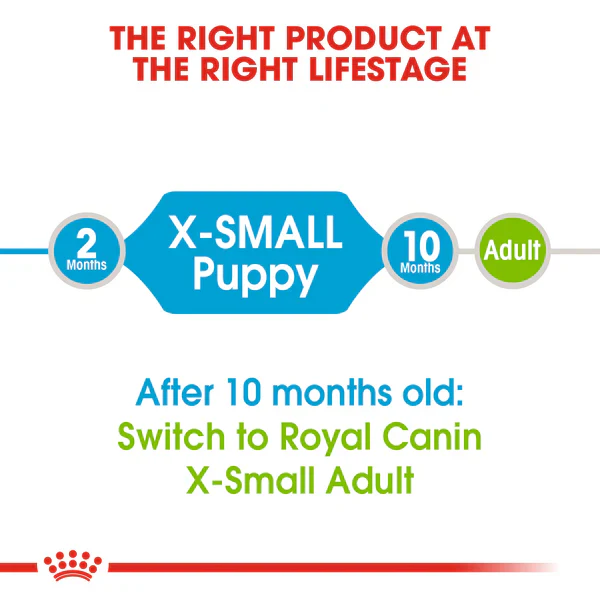 Royal Canin X-Small Puppy (1.5 KG) - Dry food for very small dogs - Adult weight up to 4 KG. Up to 10 months - Image 3