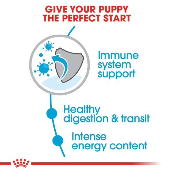 Royal Canin X-Small Puppy (1.5 KG) - Dry food for very small dogs - Adult weight up to 4 KG. Up to 10 months - Image 4