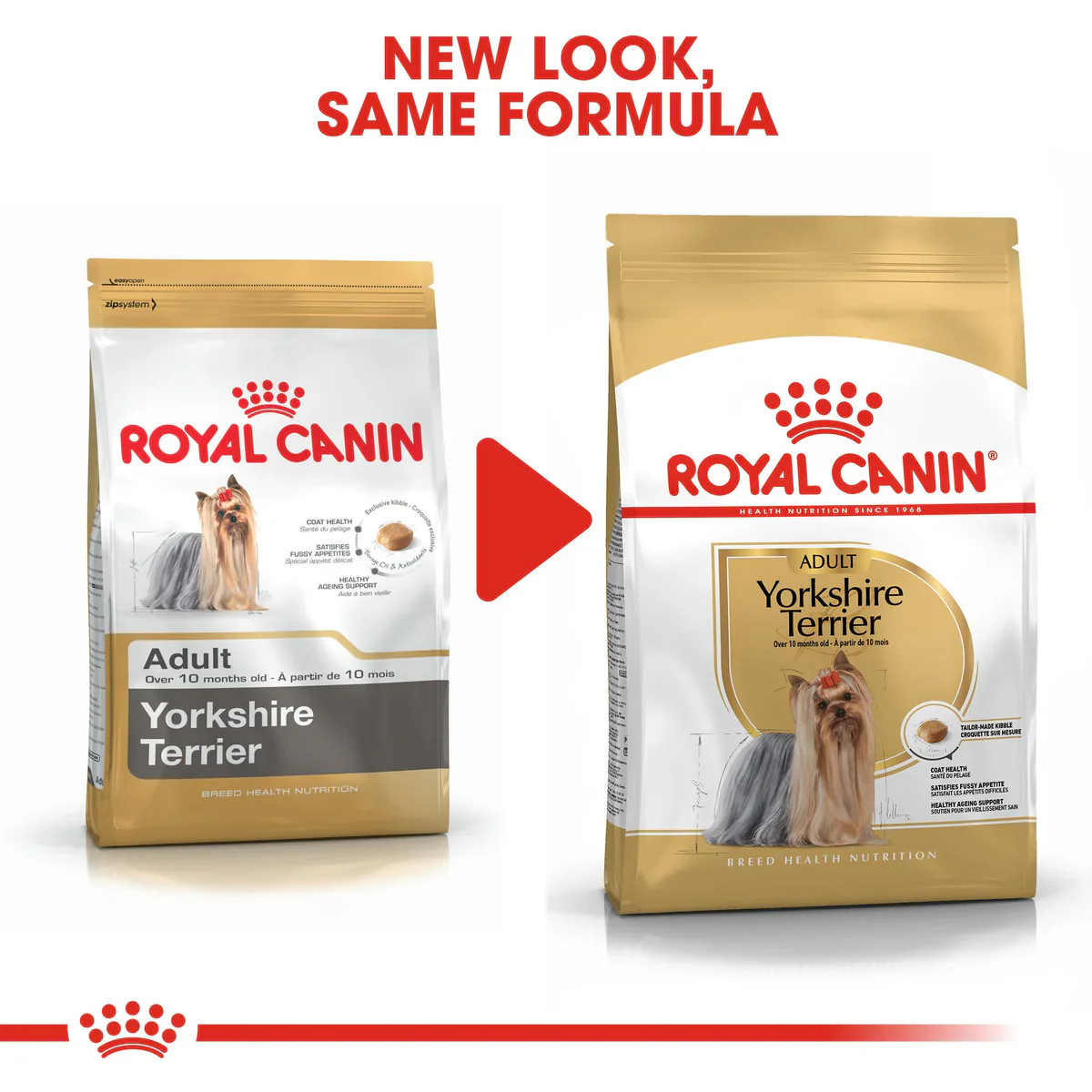 Royal Canin Yorkshire Terrier Adult (1.5 KG) - Dry food for adult dogs over 10 month - Image 3