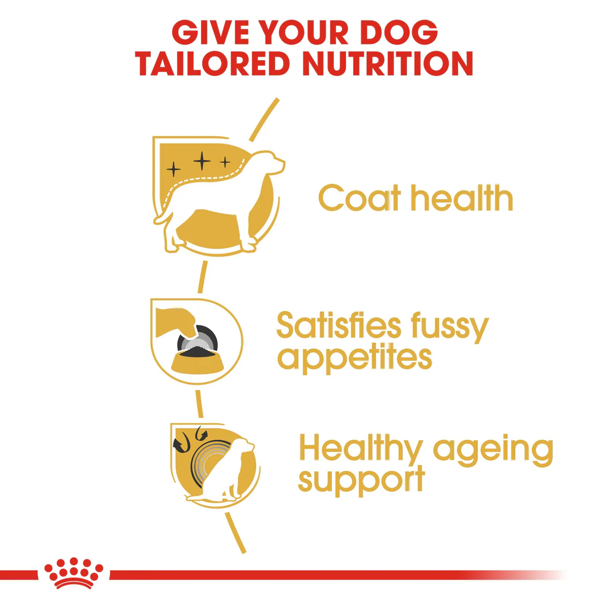 Royal Canin Yorkshire Terrier Adult (1.5 KG) - Dry food for adult dogs over 10 month - Image 4